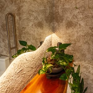 PAG 65 Y 66 ACRILITEX GRUESO – EFECTO NIEVE – ARQ MELISSA NUÑEZ (6)